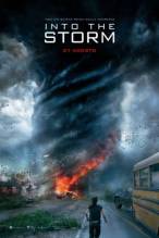 Навстречу шторму (2014)